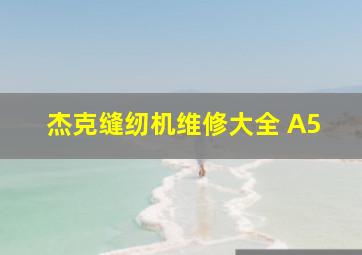 杰克缝纫机维修大全 A5